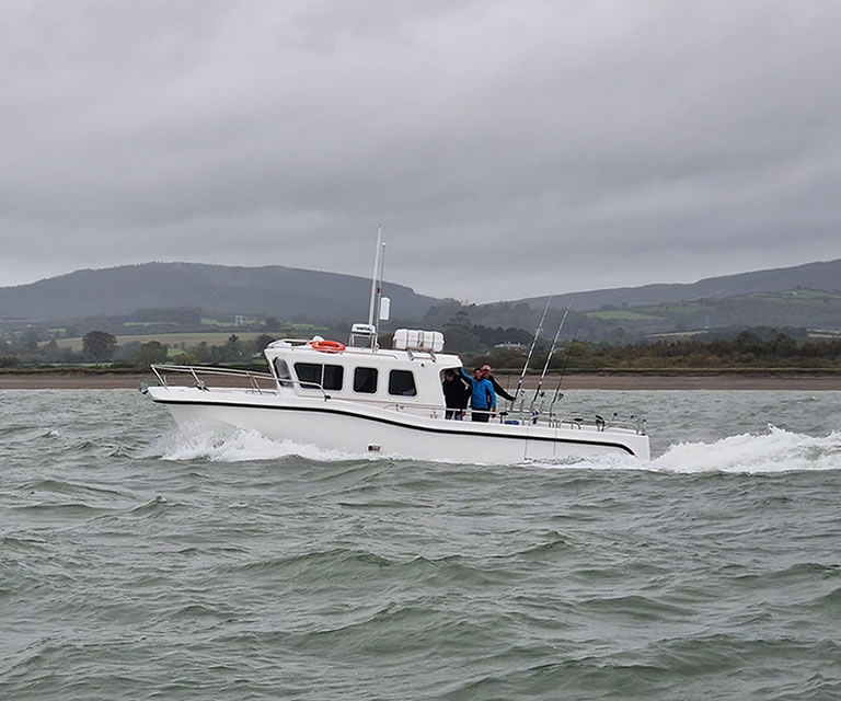 Wicklow Boat Tour Manannan