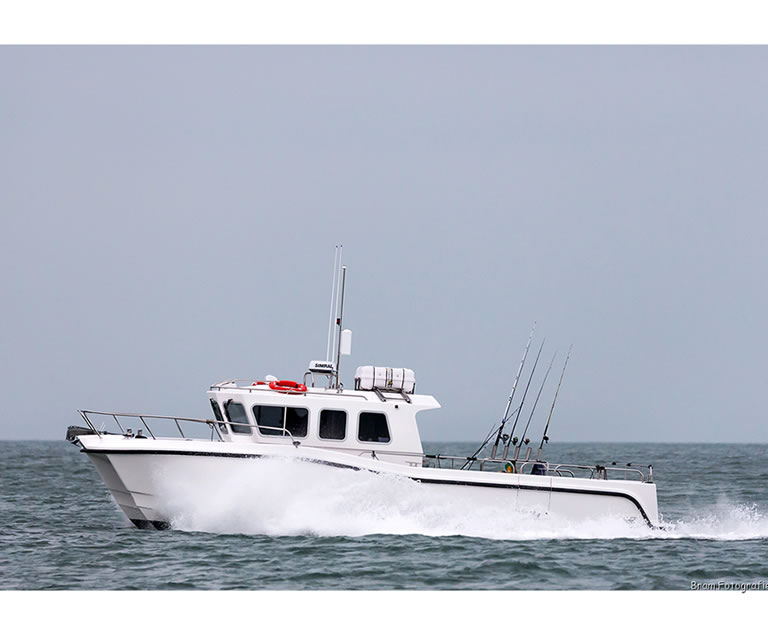 Wicklow Boat Tour Manannan