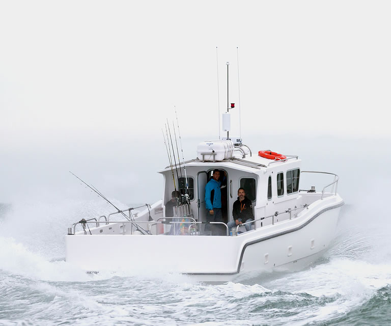 Wicklow Boat Tour Manannan