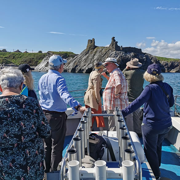 Wicklow Boat Tours