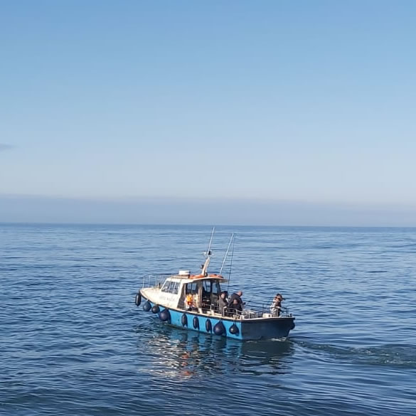 Wicklow Boat Tours