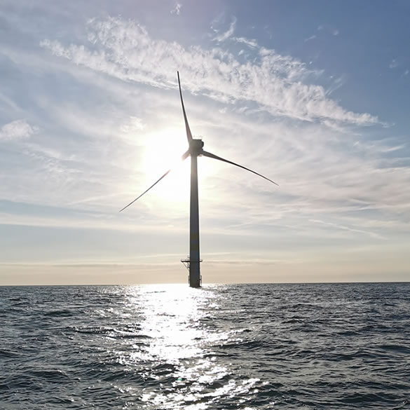Wicklow Boat Tours Windmills